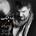 دانلود آهنگ جدید فریدون بیگدلی به نام ماه و پلنگ