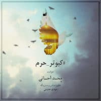 کبوتر حرم از محمد احسانی