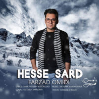 حس سرد از فرزاد امیدی