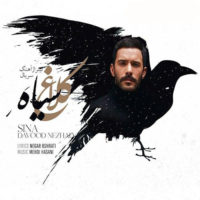 کلاغ سیاه از سینا داودنژاد