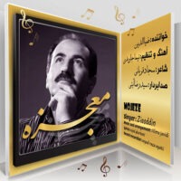 دانلود آهنگ ضیاءالدین معجزه