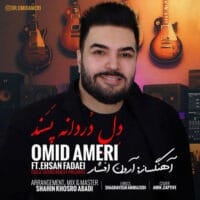 دانلود آهنگ امید عامری دل دردانه پسند