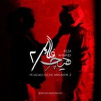 دانلود آهنگ رضا احمدی هیچ ملایم ۲